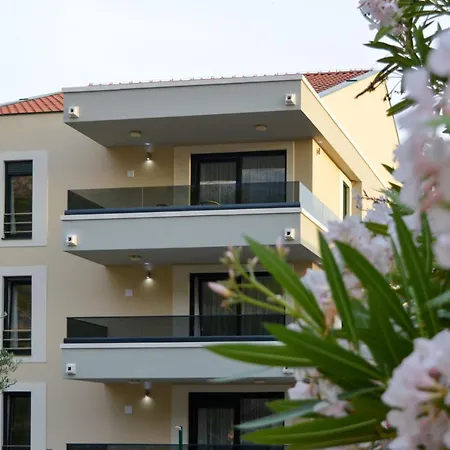 Jakov * プロマイナ