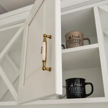 Jakov プロマイナ